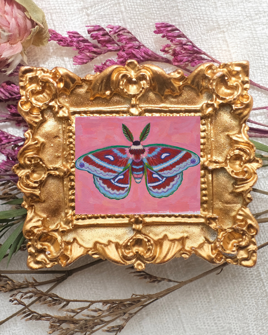 The Moth - Art Magnet